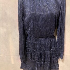 Express Shimmering Navy dress